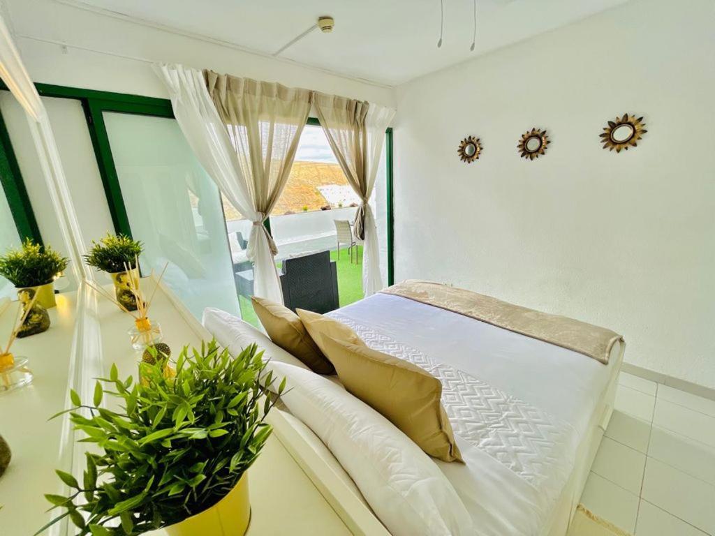 The Malibu Holiday Club Suite - Puerto Rico Puerto Rico  Exterior foto